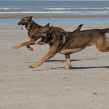 Foto van De Mecheltjes clan