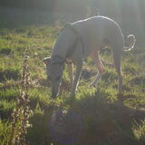 mooie foto