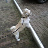 even beetje hangen