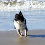 Andor @ Egmond aan zee