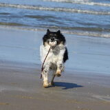 Haha Andor @ Egmond aan zee