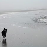 Andor @ Egmond aan zee