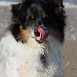 Hihi Andor @ Egmond aan zee