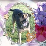 Foto van Claudia & Tank