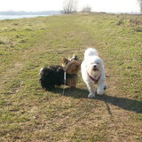 samen op stap