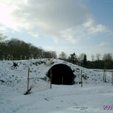sneeuw pret,balou uit de hoeve.www.snuffelexpress.nl