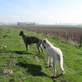 Yeager en KumBaYah