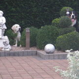 Foto van Constance R.I.P. Beau