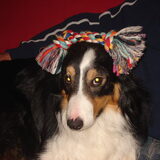 Foto van gaston