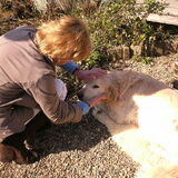 m'n lieve beertje
