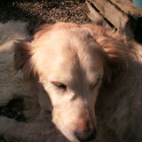Moppie xxx