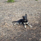 Is ze niet schattig :d