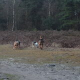 Foto van liesbeth,Turbo,Luna, Levi en Faith