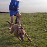 Foto van Hetty & Skipper