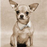 Foto van sienna,diva,lady en chica