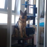 Op het tafeltje kan ik goed naar buiten kijken en alles goed in de…