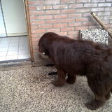 Foto van Natascha en bono