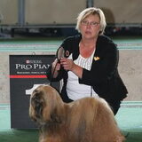 dolma mani's lhasa apso's