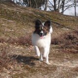rens in aktie