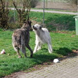 KumBaYah en Yeager