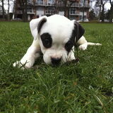 Is ze niet lief!! :)
