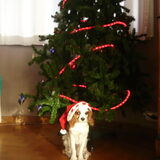We Wish You A Merry Christmas!