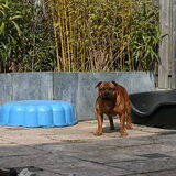 ons spook