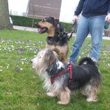 Foto van Claudia & Tank