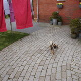 Foto van Helga & Zoëy