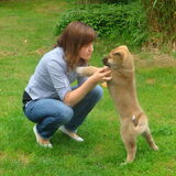 Foto van Steph