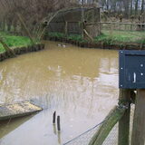 eendenkooi waardenbrug