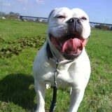 Foto van Melissa---Rocco&Lady