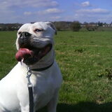 Foto van Melissa---Rocco&Lady