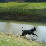 Foto van Melissa---Rocco&Lady