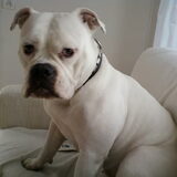 Foto van Melissa---Rocco&Lady