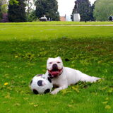 Foto van Melissa---Rocco&Lady
