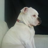 Foto van Melissa---Rocco&Lady