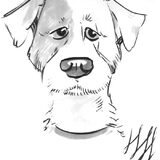Romeo getekend door een sneltekenaar.
