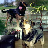 Spike made bij Noa
