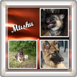 Foto van ~~Michelle&Mushu~~