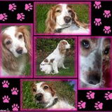 Foto van Liesbeth/Skinny