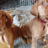 Kijk nou wat een schatties!!! Mijn kleine lieve Bakker & Jeanas!