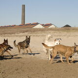 Foto van De Mecheltjes clan