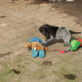 Foto van kelly,s black favoriete