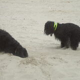 Foto van Floris & Senna