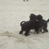 Foto van Floris & Senna