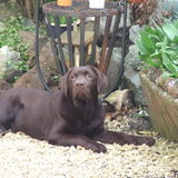 in de tuin,even rust