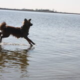 Walking on water