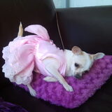De prinses in haar prinsessen jurk helemaal in haar nopjes!!..