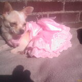 Zoooooooooooooooooooooooo heerlijk die zon!!...Hmmm!! ik lust er wel…